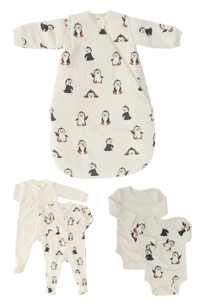 Penguen Desen Bebek Paketi