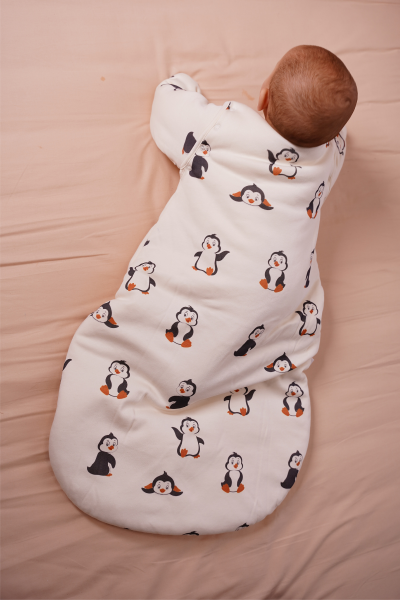 Penguen Desen Bebek Paketi