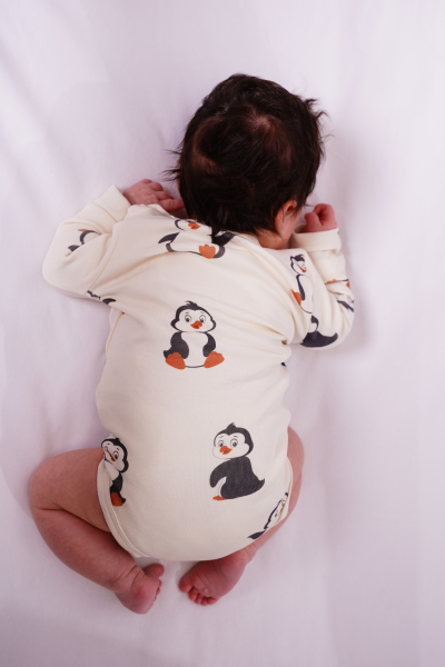 Penguen Desen Bebek Paketi