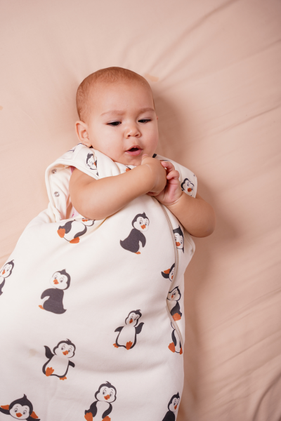 Penguen Desen Bebek Paketi