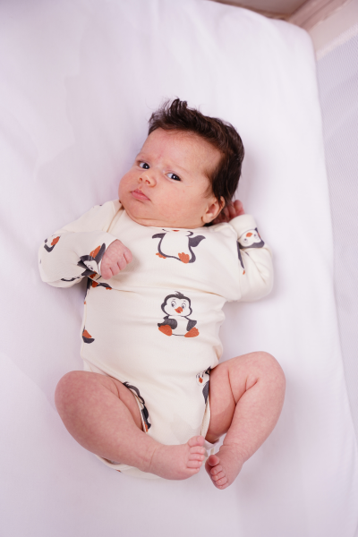 Penguen Desen Bebek Paketi