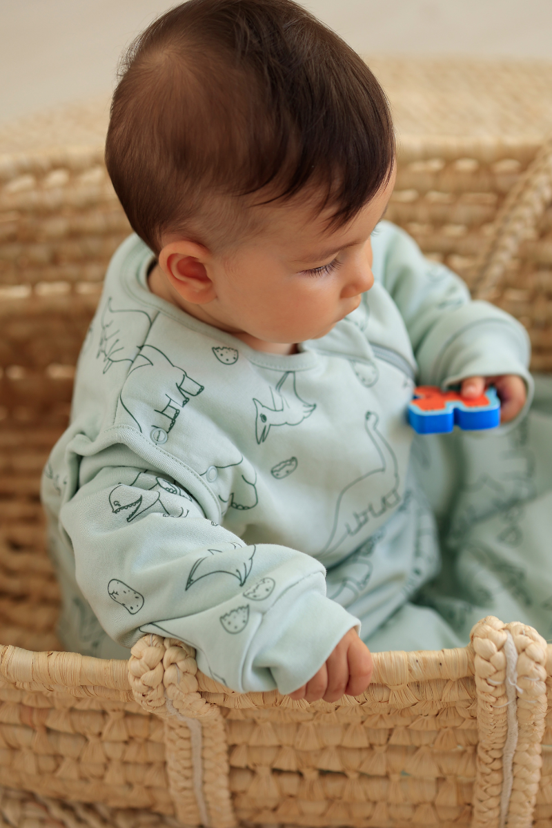 Erkek Bebek Uyku Tulumu - Dinozorlu