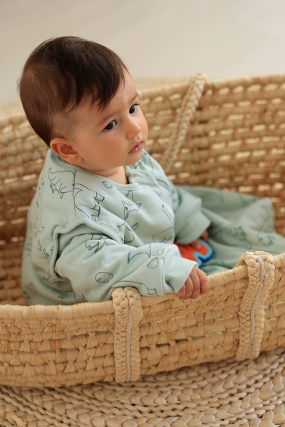 Erkek Bebek Uyku Tulumu - Dinozorlu