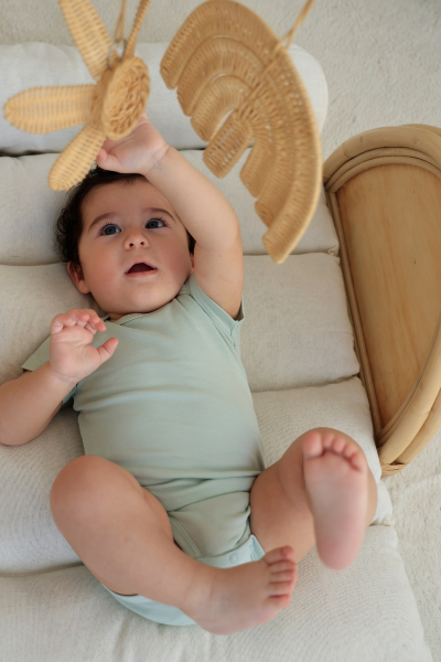 Erkek Bebek Kısa Kollu Body - 5'li Paket