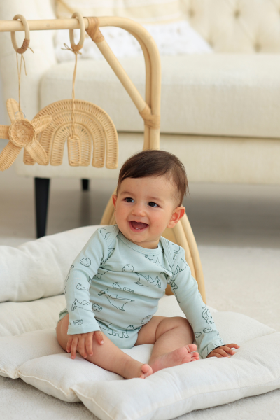 Erkek Bebek Uzun Kollu Body - 5'li Paket