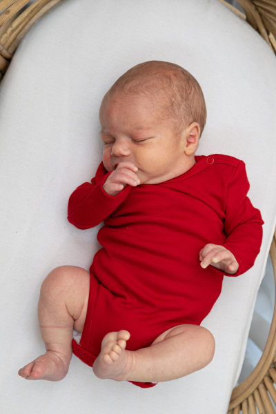 Uzun Kollu Body - 3'lü Paket - Kırmızı