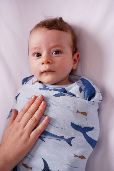 Köpek Balığı Desen- 2 TOG Kundak