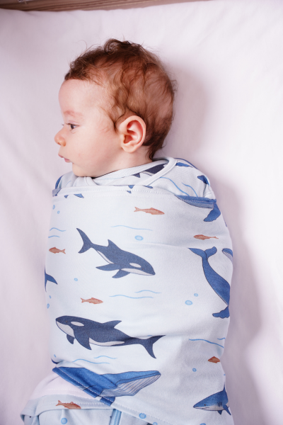 Köpek Balığı Desen- 1 TOG Kundak