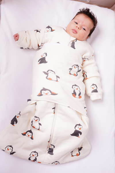 Penguen Desen- 2 TOG Kundak