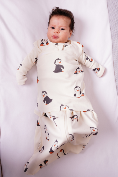 Penguen Desen- 1 TOG Kundak