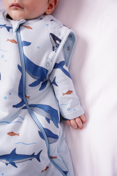 Köpek Balığı Desen-Uyku Tulumu