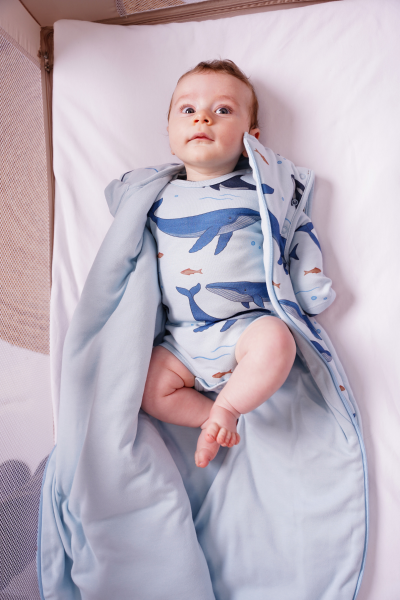 Köpek Balığı Desen-Uyku Tulumu