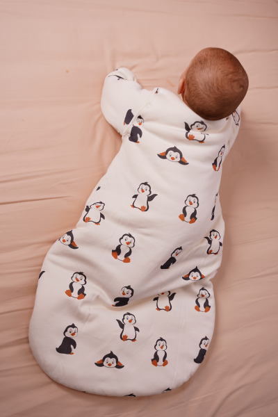 Penguen Desen- Uyku Tulumu