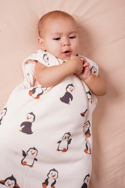 Penguen Desen- Uyku Tulumu