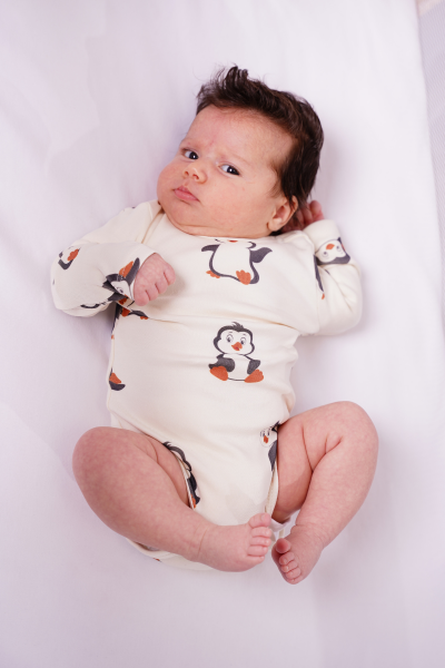 Bebek Uzun Kollu Body - 2'li Paket- Penguen