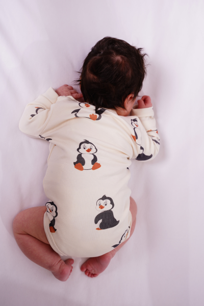 Bebek Uzun Kollu Body - 2'li Paket- Penguen