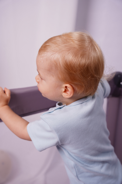 Bebek Kısa Kollu Body -  2'li Paket - Köpek Balığı