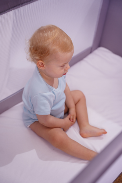 Bebek Kısa Kollu Body -  2'li Paket - Köpek Balığı