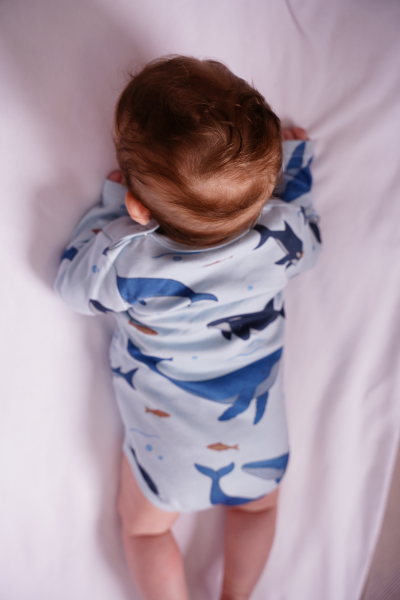 Bebek Uzun Kollu Body -  2'li Paket - Köpek Balığı