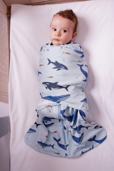 Köpek Balık Yenidoğan Paketi