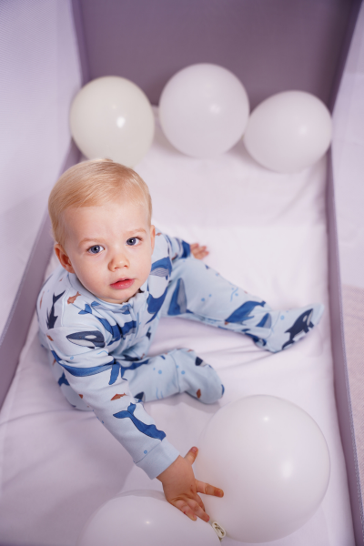 Köpek Balık Yenidoğan Paketi